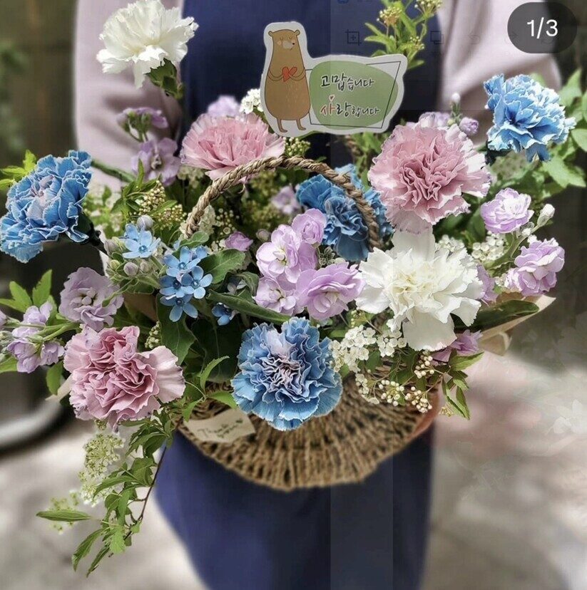 [안양/일산] 2026 어버이날 카네이션 가격표 및 예약 가이드 (10% 할인 혜택)