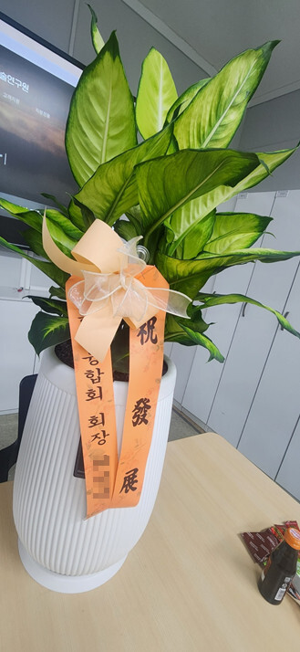 개업화분