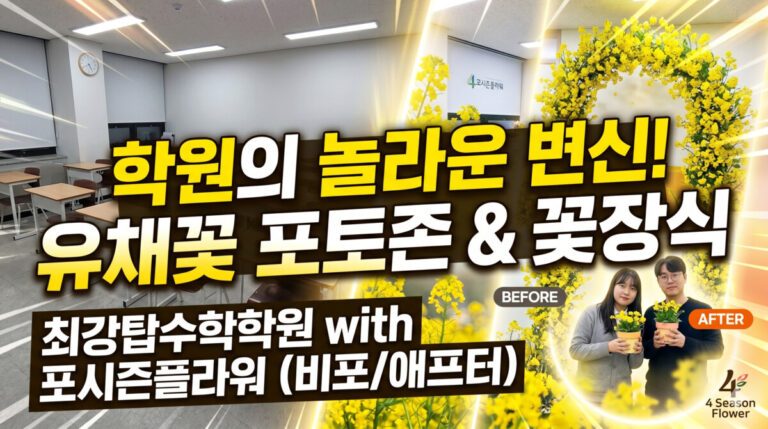 유채꽃 테마 교실