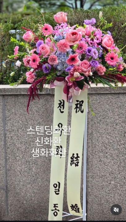 정부과천청사 승진 축하 꽃바구니, 품격 있는 서양란·생화 배달 후기