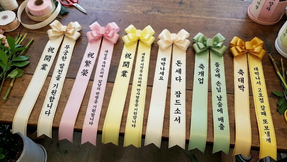 돈 들어오는 금전수부터 고급스러운 아레카야자까지, 실패 없는 개업화분 추천